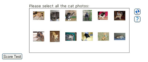 ASIRRA CAPTCHA sistem