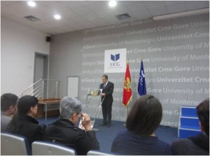 inmem-bulatovic-160428-2